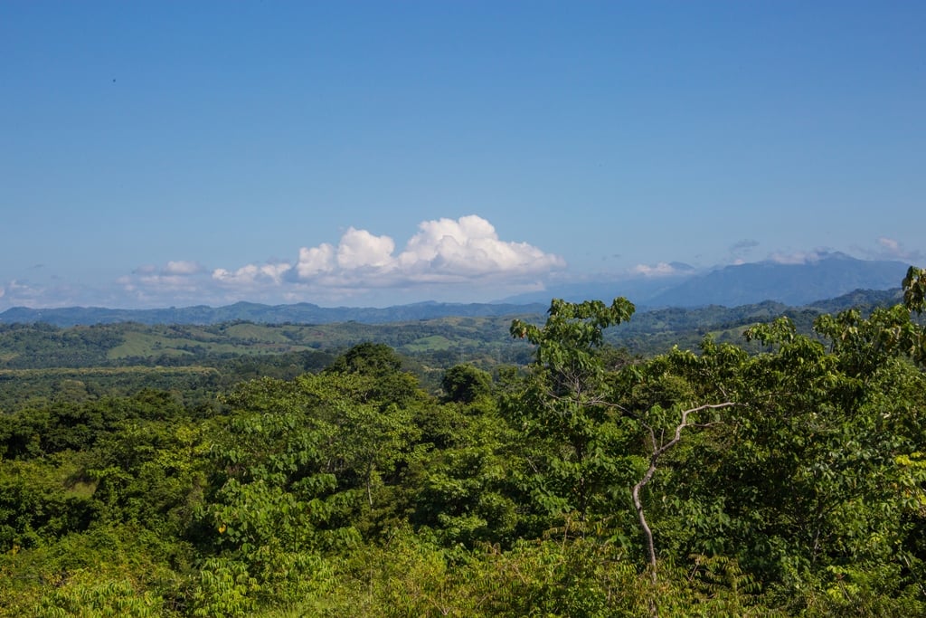 Villa Vista Hermosa | Nature refuge near Manuel Antonio National Park
