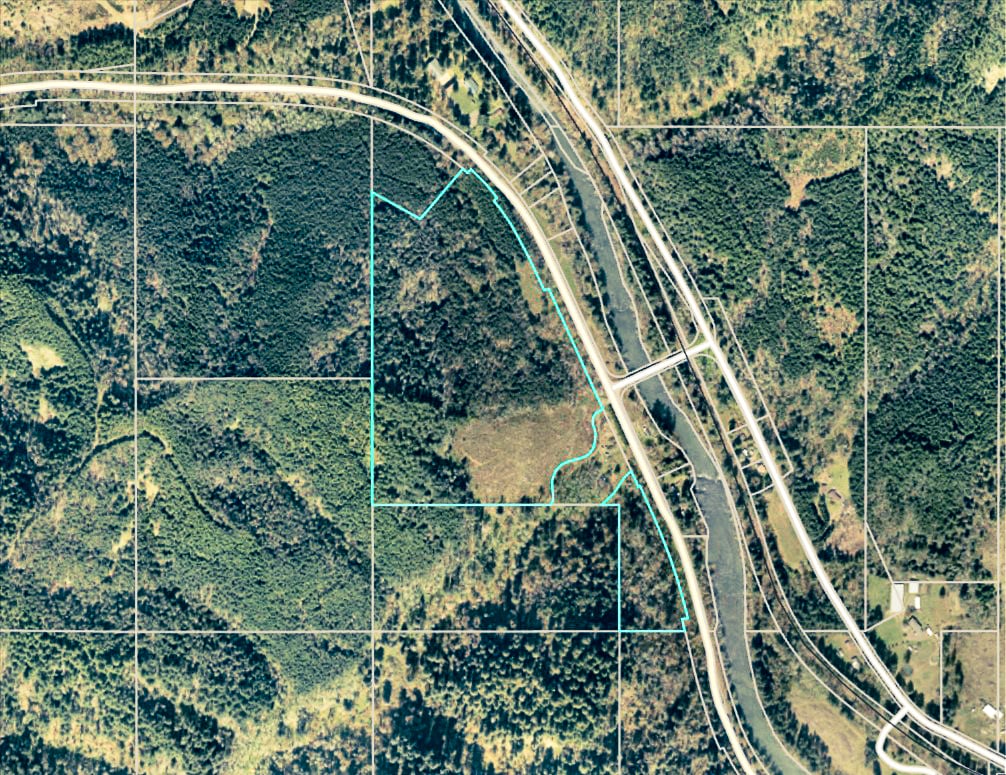 Waite Creek Woodlands