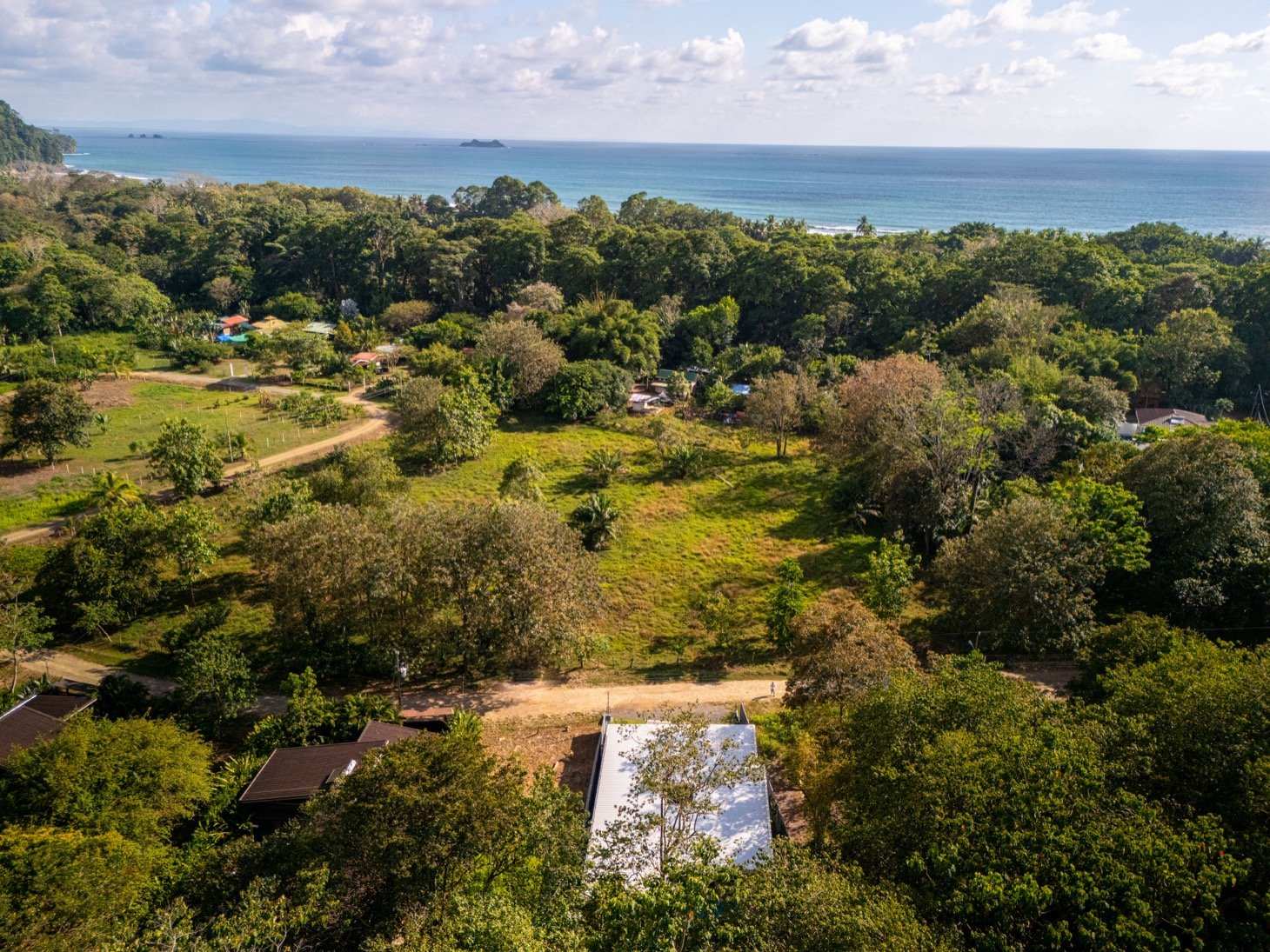 Stunning 3-Bedroom, 2.5-Bathroom Tropical Mid-Century Modern Home – Steps from the Beach