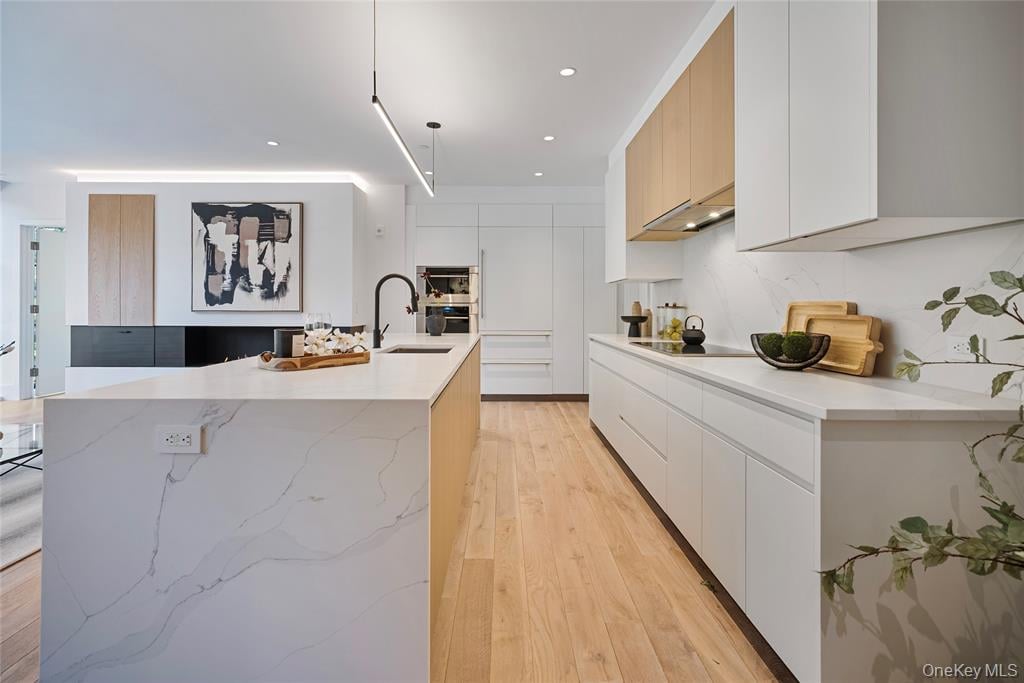 41 Richmondville Ave Unit: Duplex 2