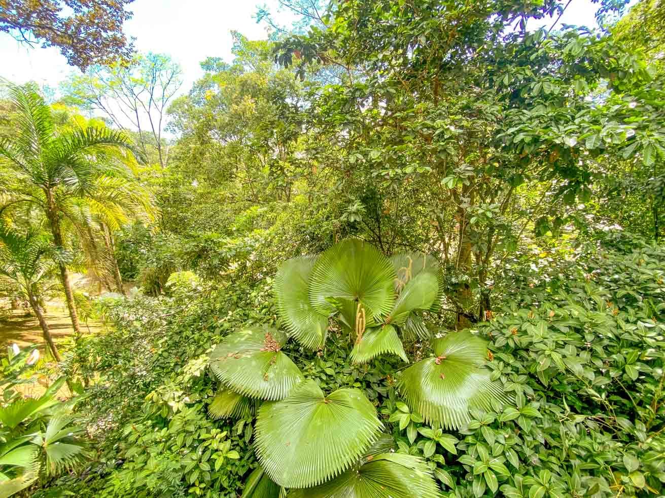 3 Bedroom Rainforest Home in Ojochal With River & Waterfall | 3.5 Acres Private