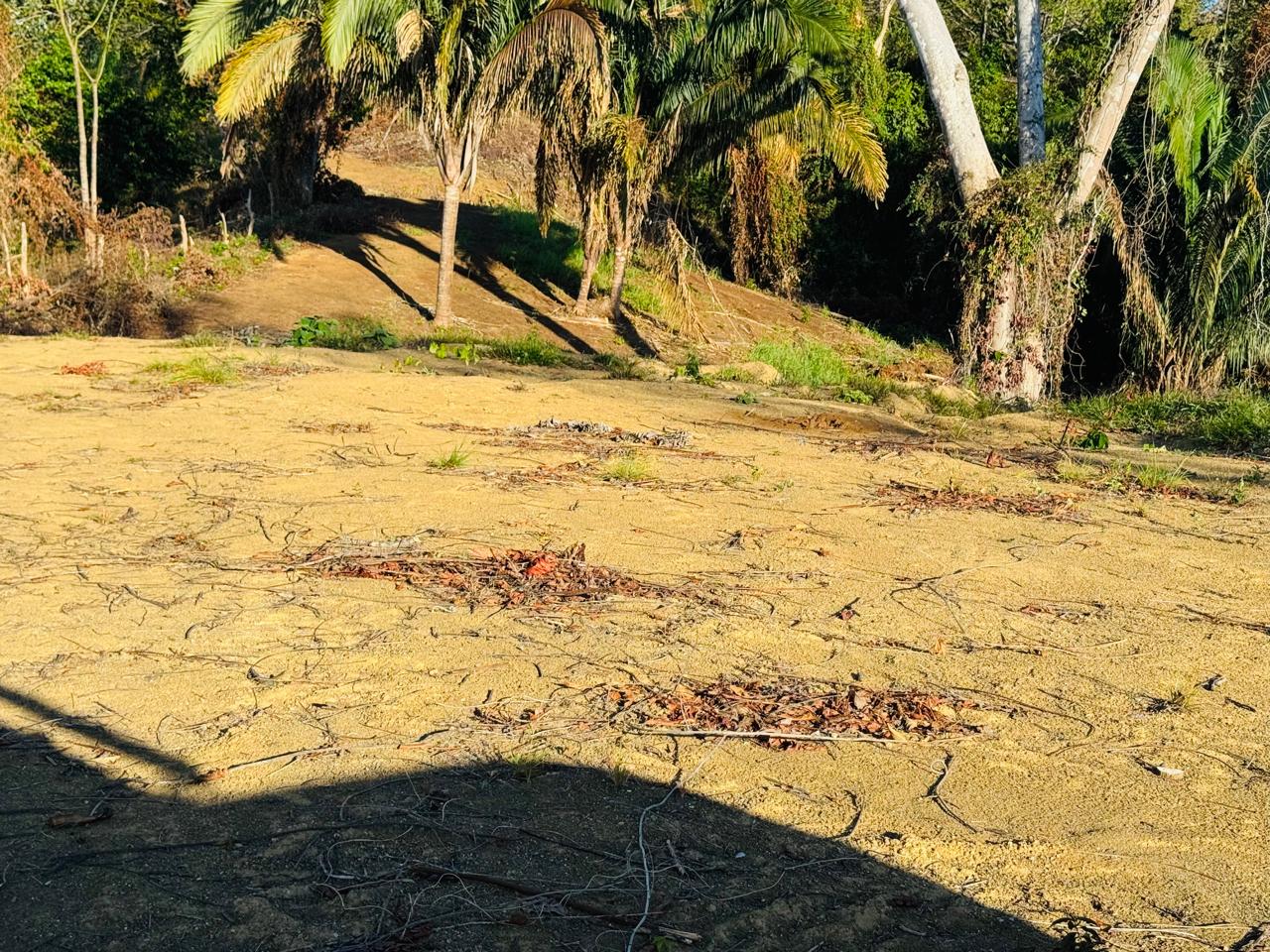 Finca Herradura | 82-Hectare Ocean View Development Land Near Los Sueños, Jacó