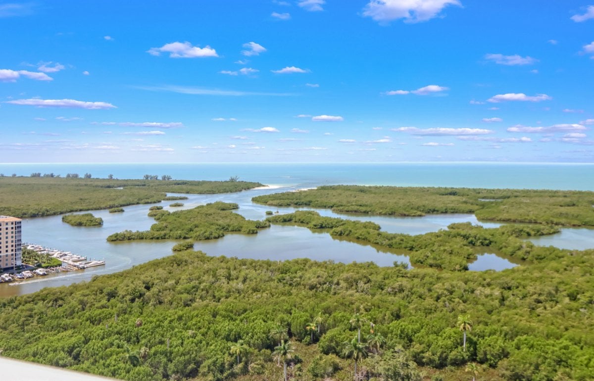 The mangrove estuary, tidal creeks and Gulf beach west of Kalea Bay, looking out from the tower rooftop level.