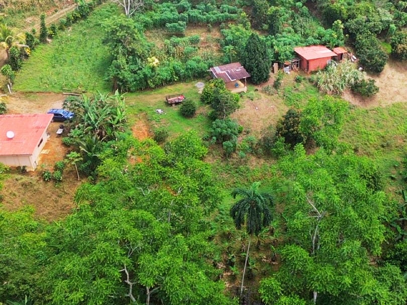 Productive Agricultural Farm with Valley Views in Cristo Rey of Platanares, Pérez Zeledón