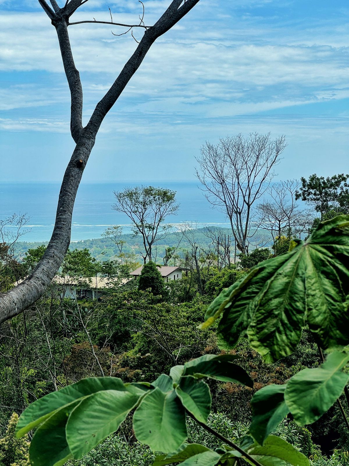 Whale’s Tail Paradise Vista – 3.7 Acre Oceanview Dream Home in Uvita