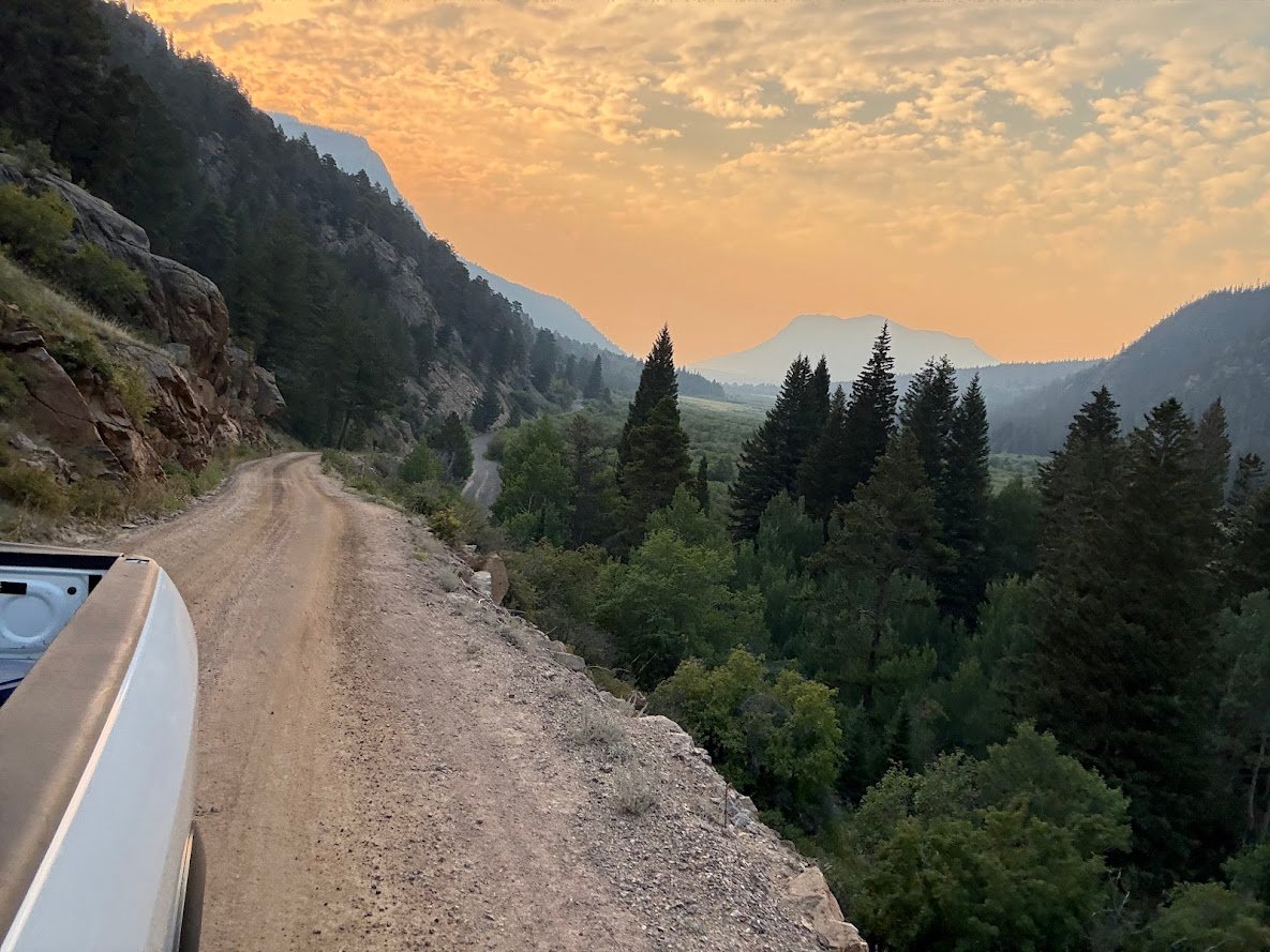 Driving Into the Wild: A Sensory Journey Along Old Fall River Road