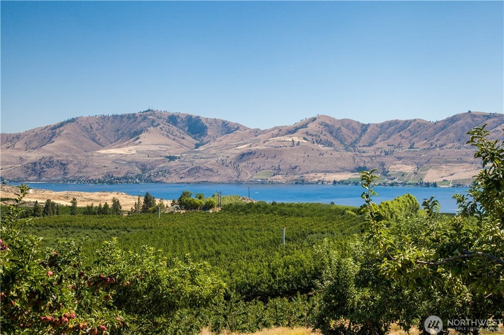 0 Winesap #Lot H