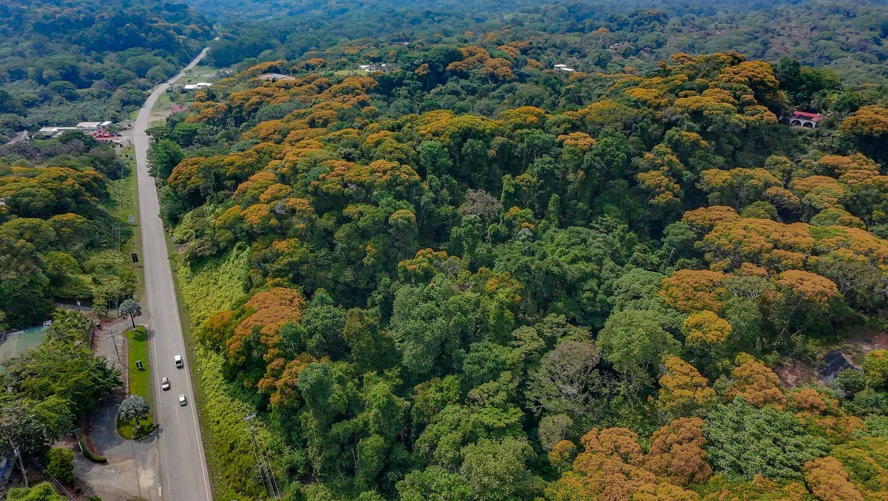 23-Acre Prime Highway Frontage Lot Near Ojochal & Ocean