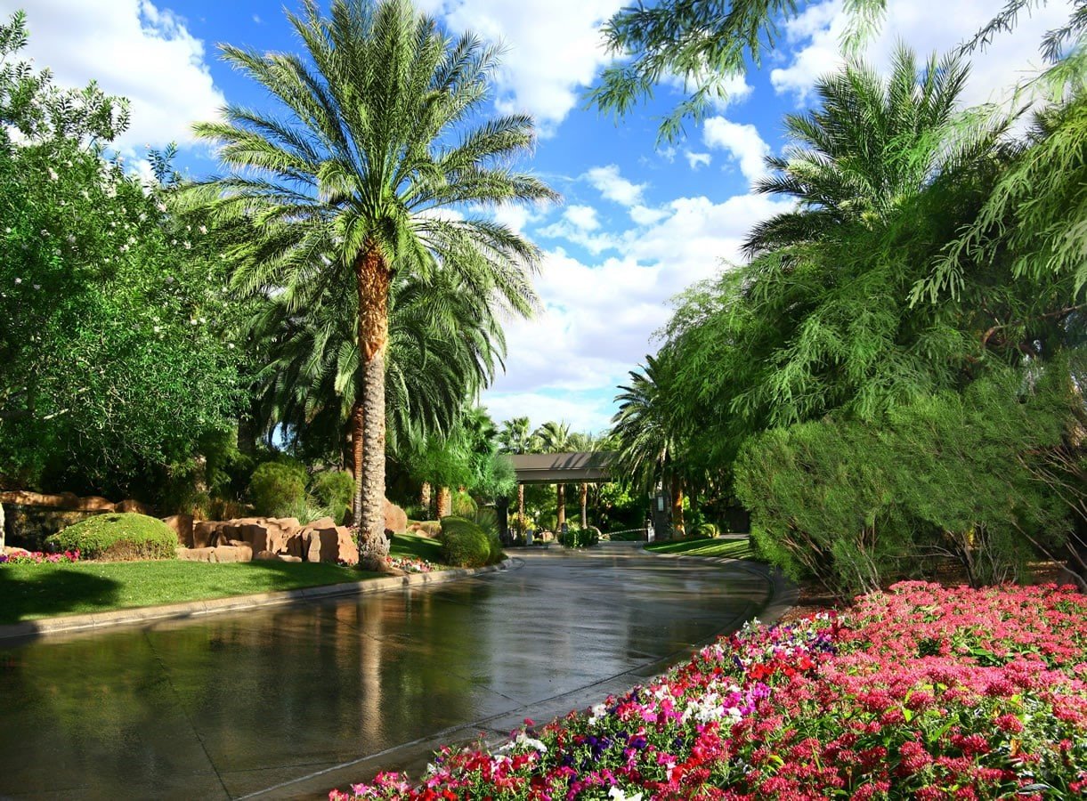 MacDonald Highlands entrance with a gated drive, tall palm trees, and bright flower beds.
