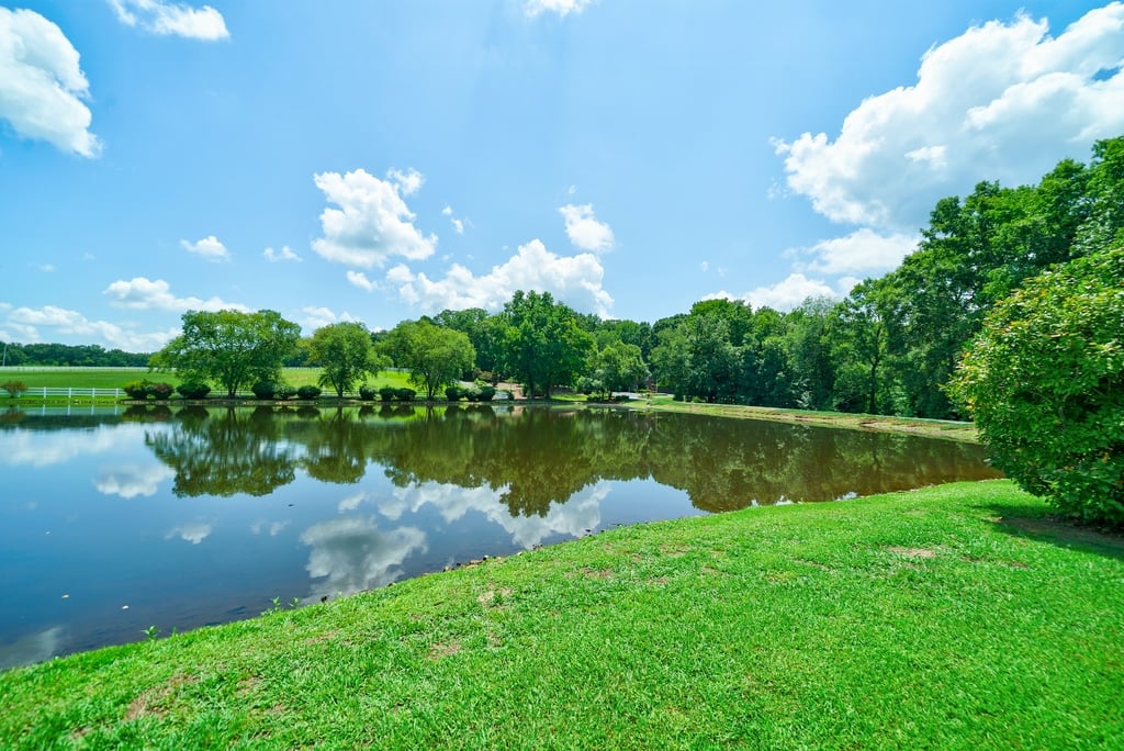 NC 330 Acre Legacy Equestrian Estate 