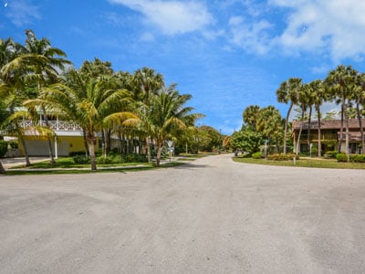 Palm-lined residential street with homes in Por La Mar, Boca Raton.