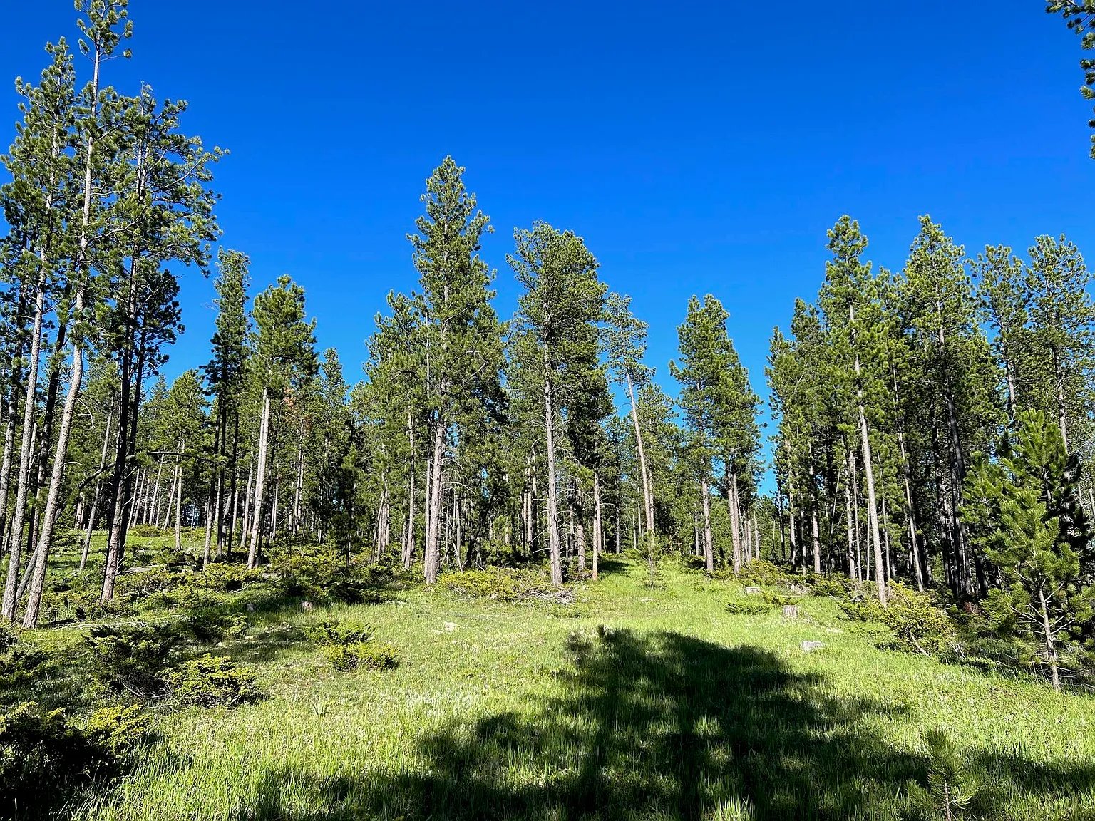 Lot 5 Boles Canyon Rd