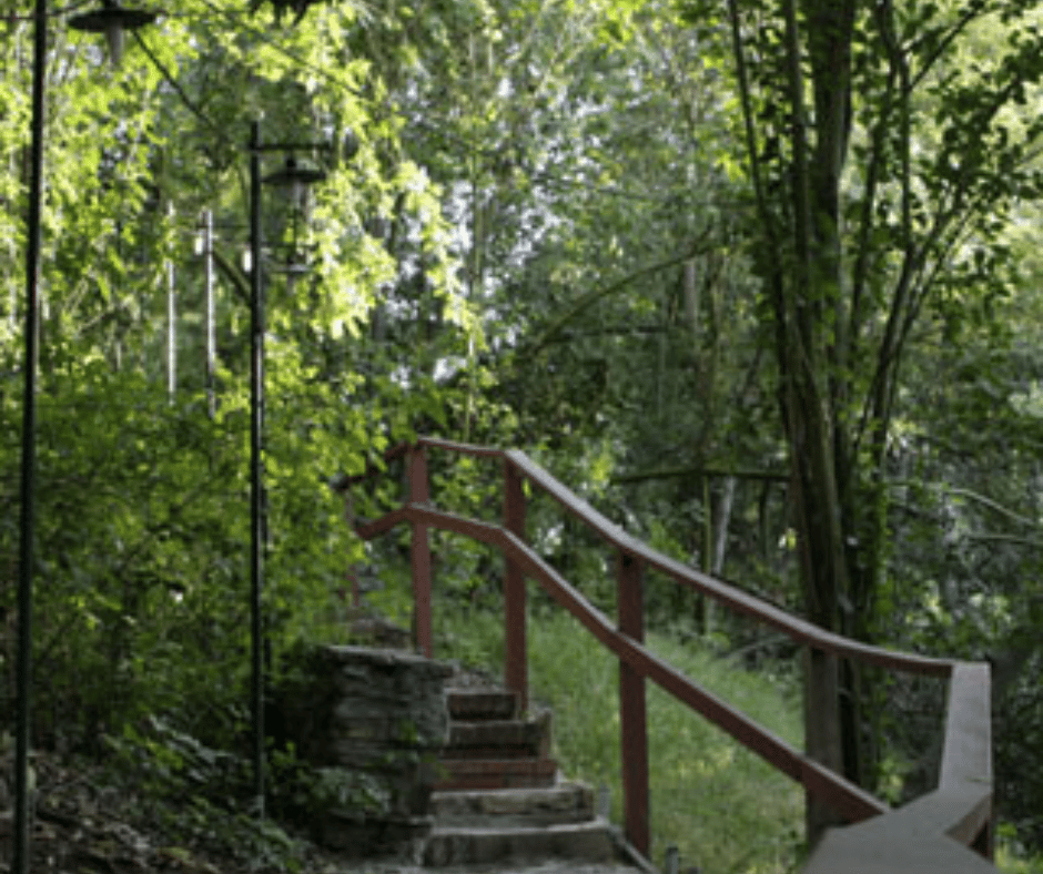 Discover the Natural Beauty of TreePeople Park: A Scenic Escape with Trails and Tree-Lined Areas