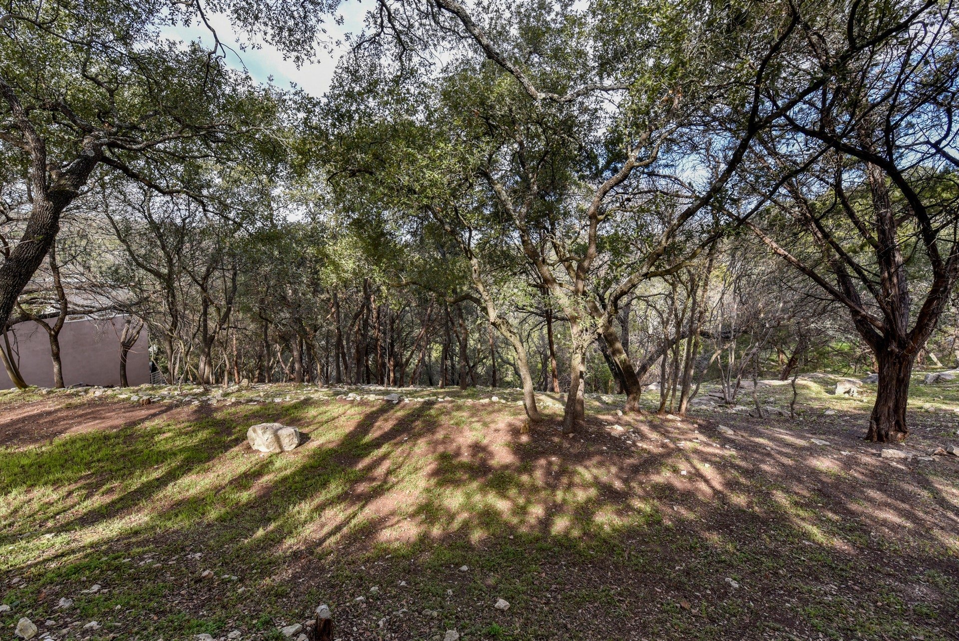 2106 N Oak Canyon