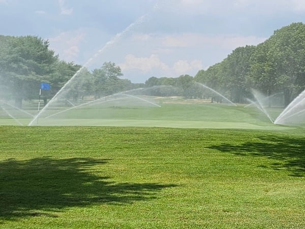 Around & About The Hamptons | July 2025 Newsletter