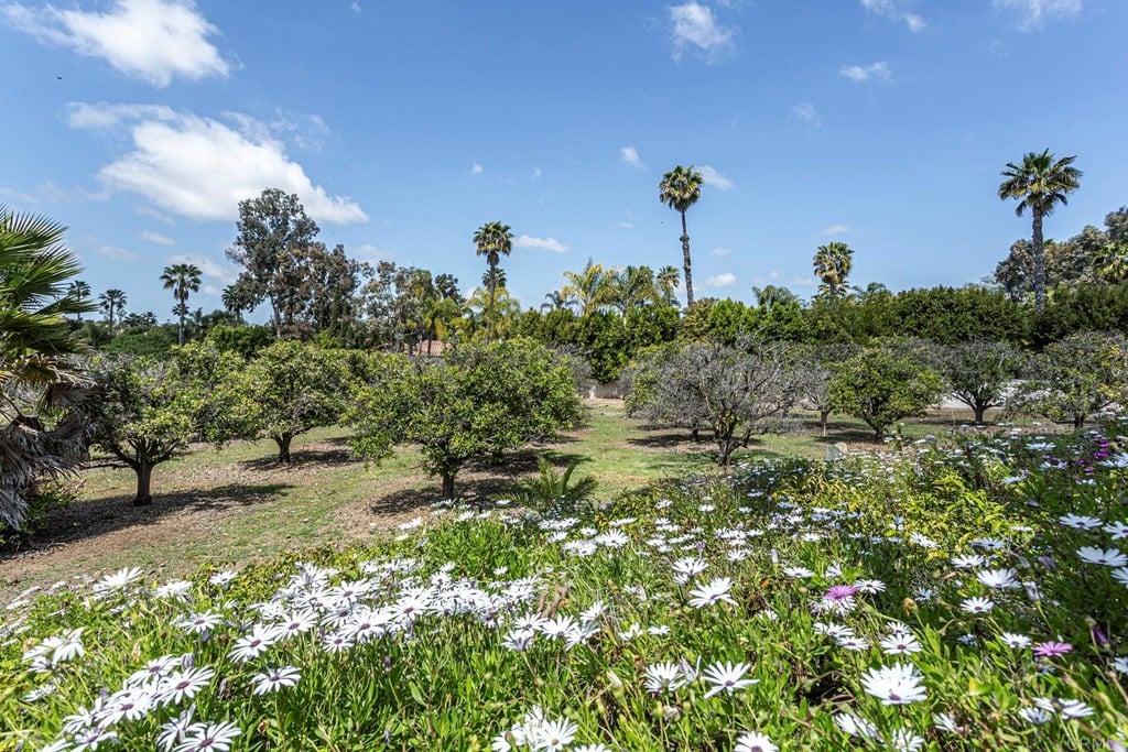 6944 Rancho Cielo