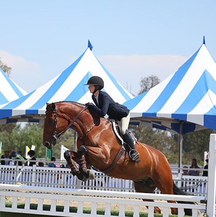 Portuguese Bend National Horse Show