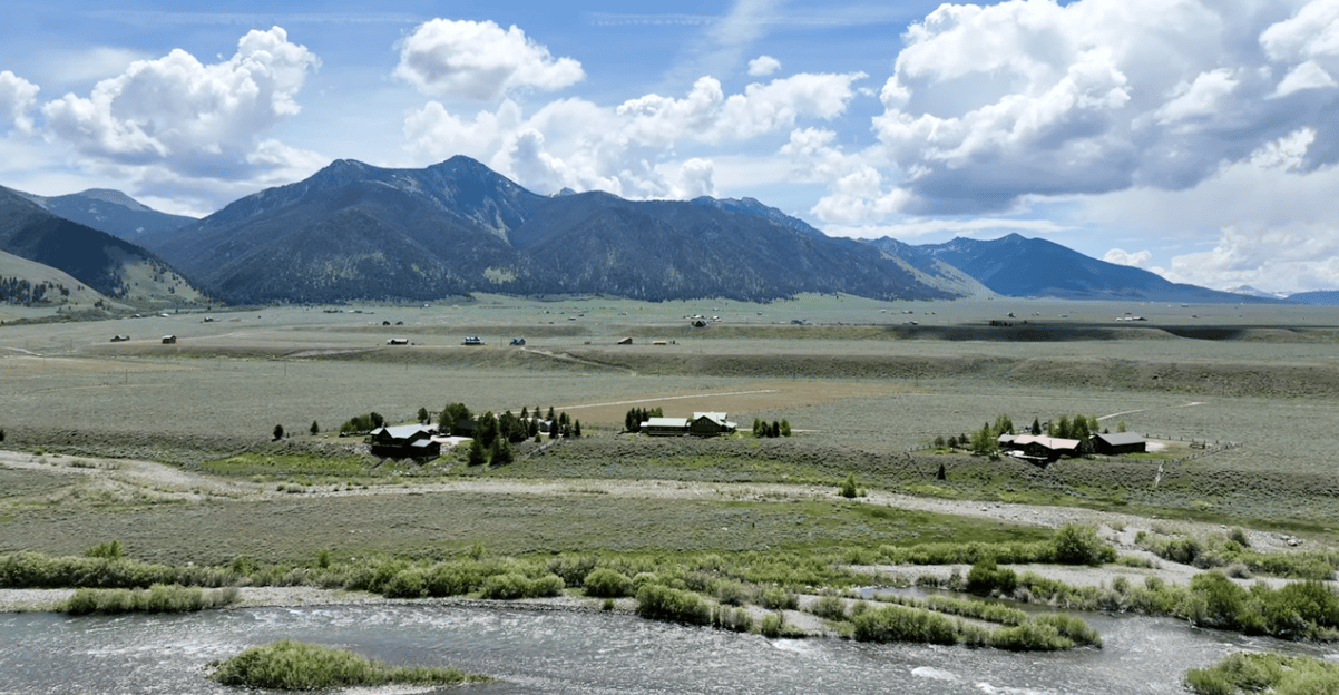 91 Hook and Horn | Sold