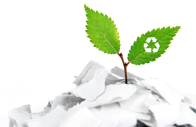 Go Greener at Home