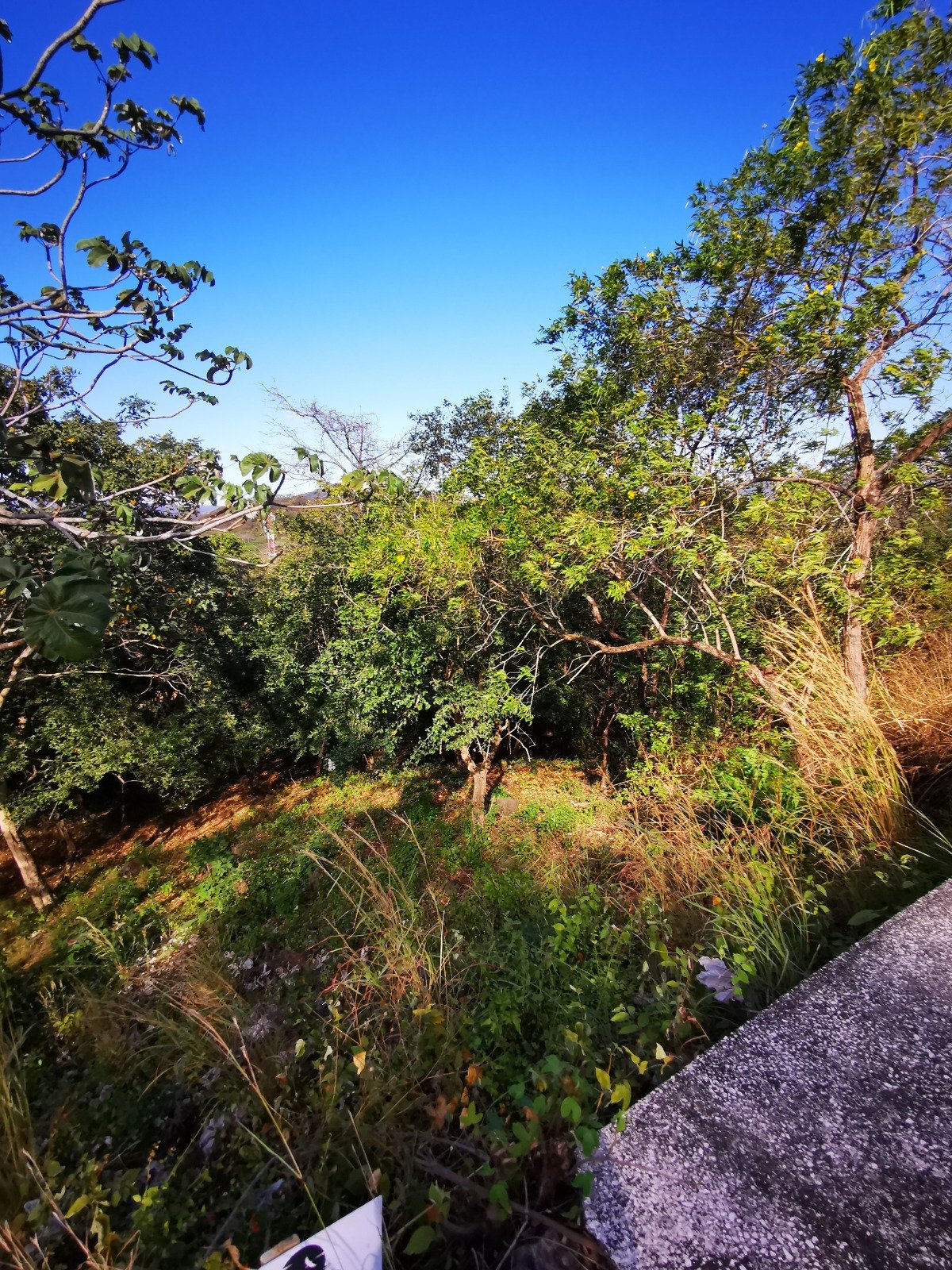 Valle Escondido