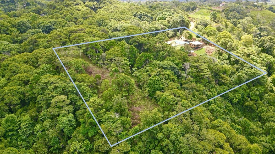 Eco-Luxury Home and Cabins with Waterfall, Ocean Views, and Organic Farming Potential