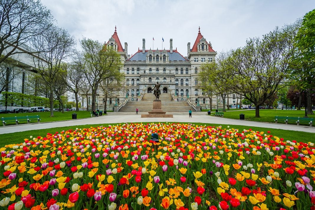 New York State Capitol in Albany, with a statue and colorful tulip beds in the foreground.