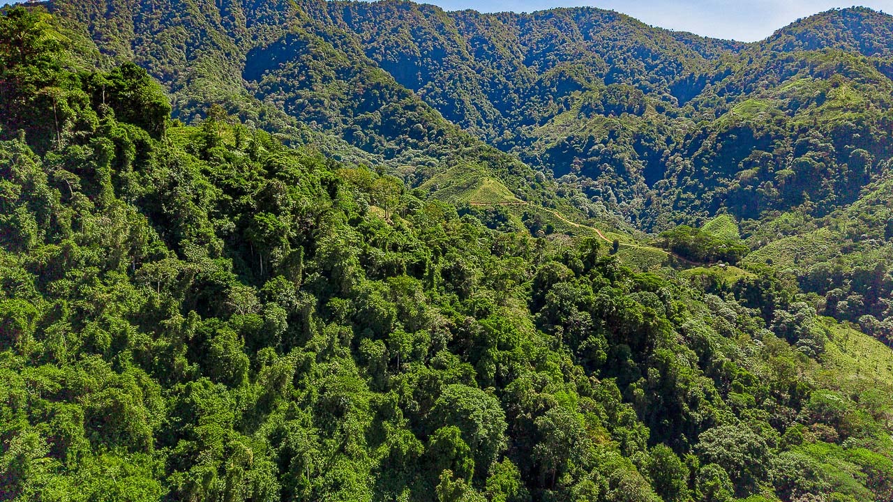 Whale Tail Views Luxury Waterfall Farm