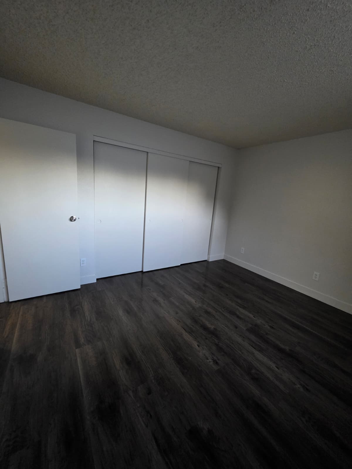 2616 Lynnwood Street #7