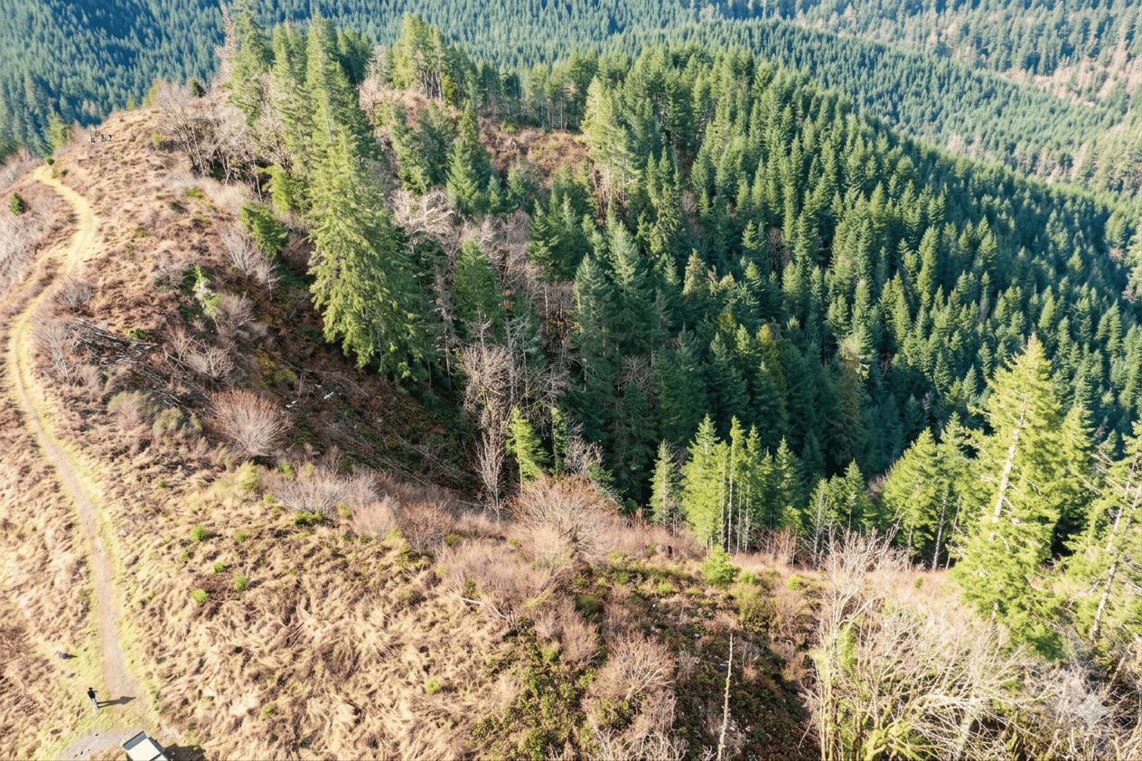 Smith River Back Woods