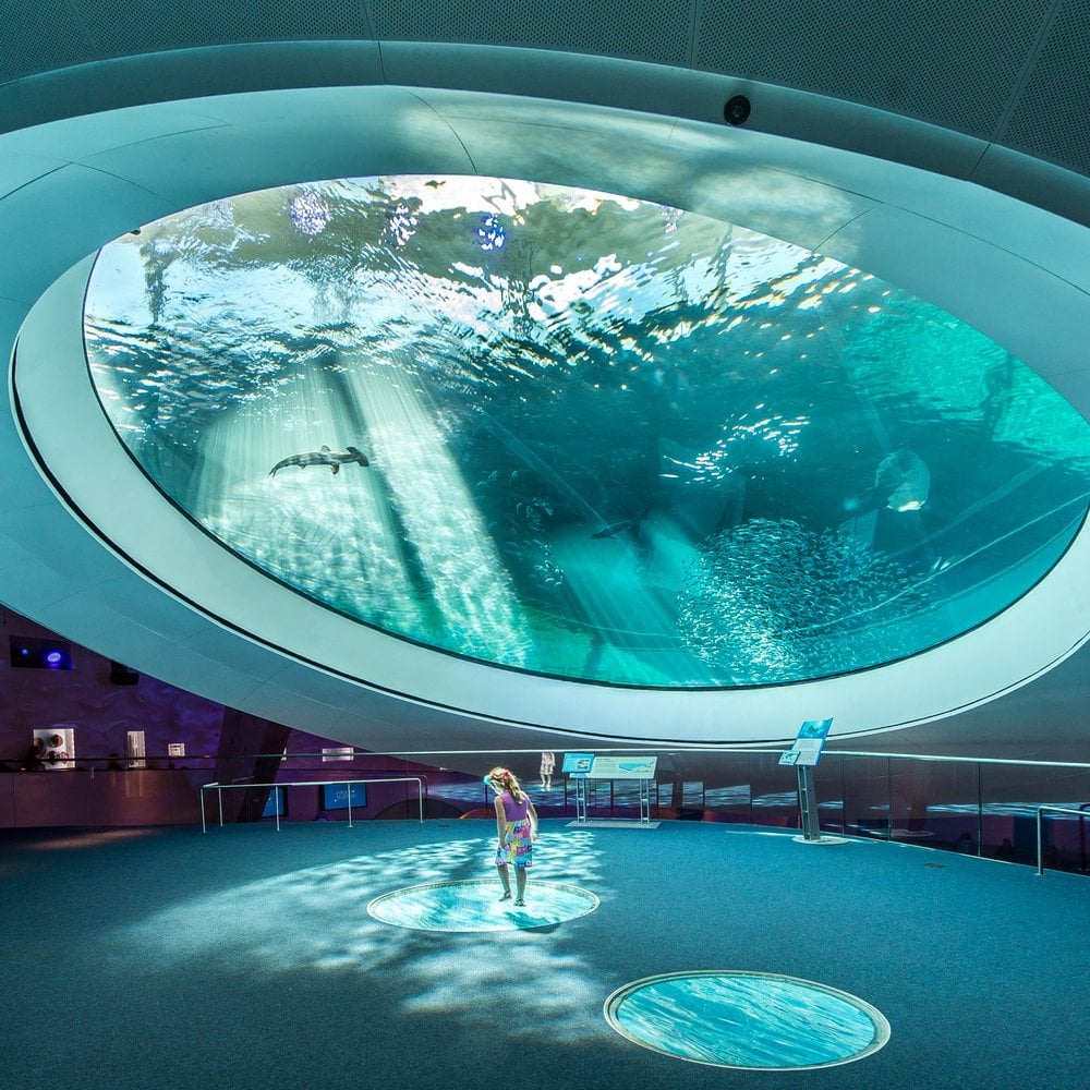 Aquarium viewing hall with a huge overhead tank and a child standing beneath it