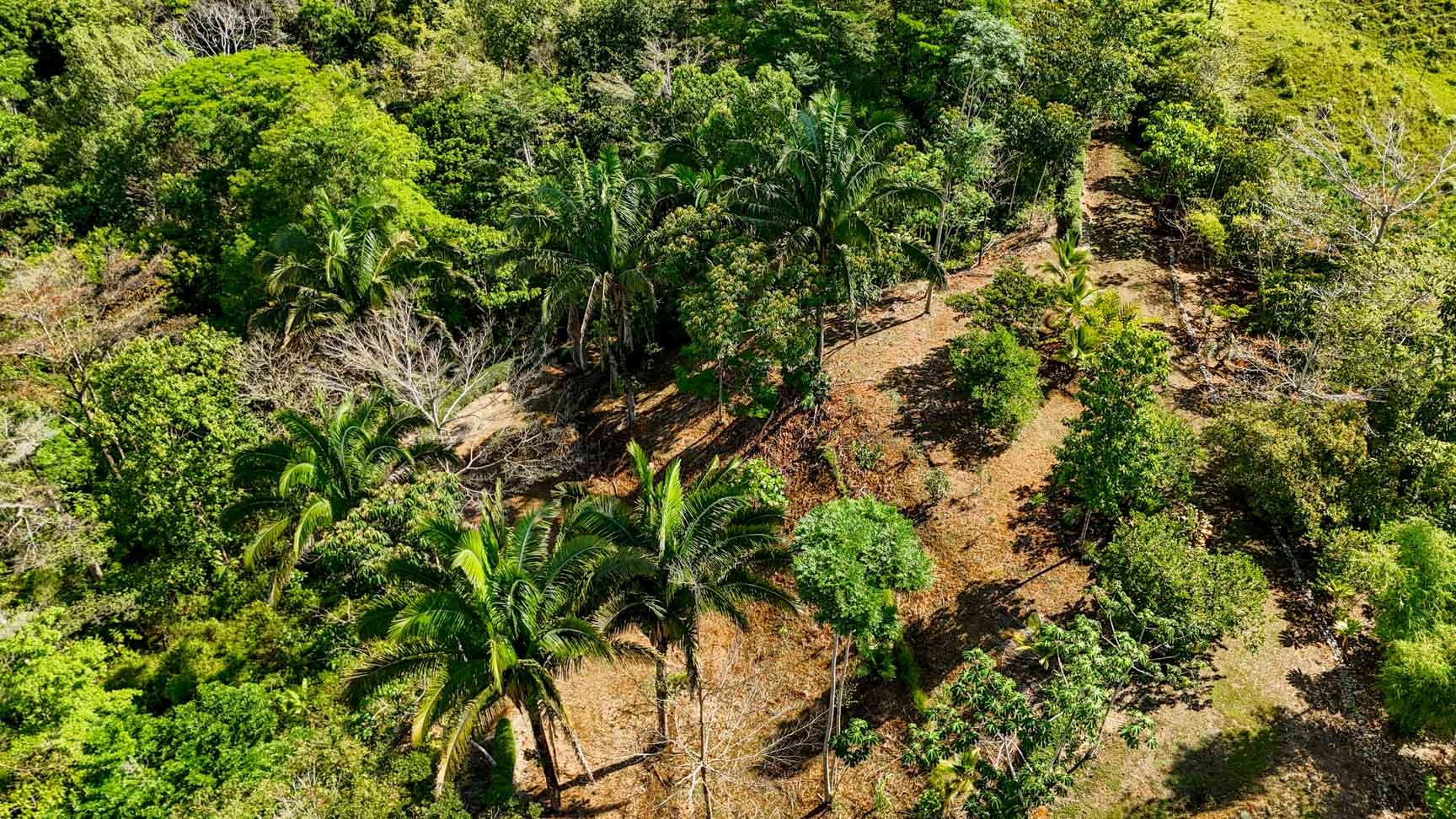 32-Acre Self-Sustainable Off-Grid Farm Near Ojochal with House, Solar Power & River