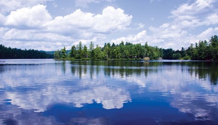 Case Study: How Martha Day Realty Successfully Marketed and Sold Pine Lodge