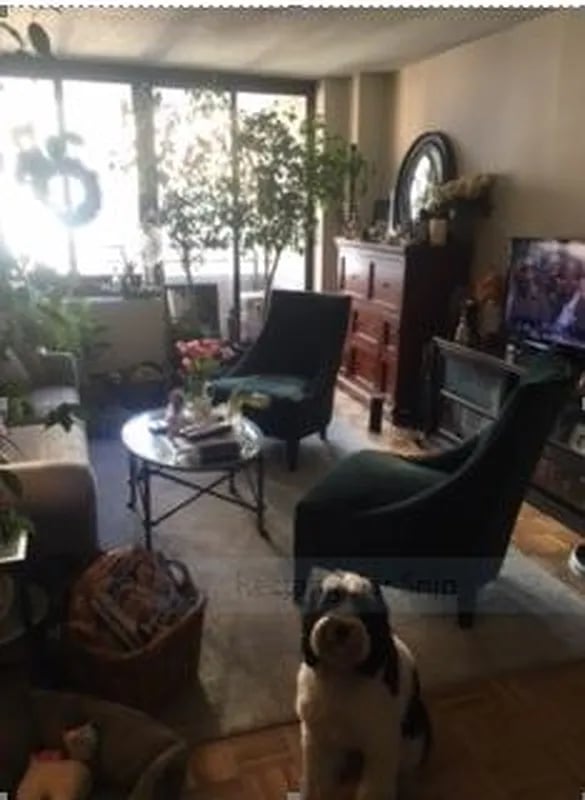 200 Rector Place #19J