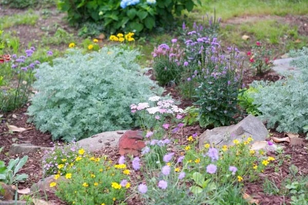 Garden Love!