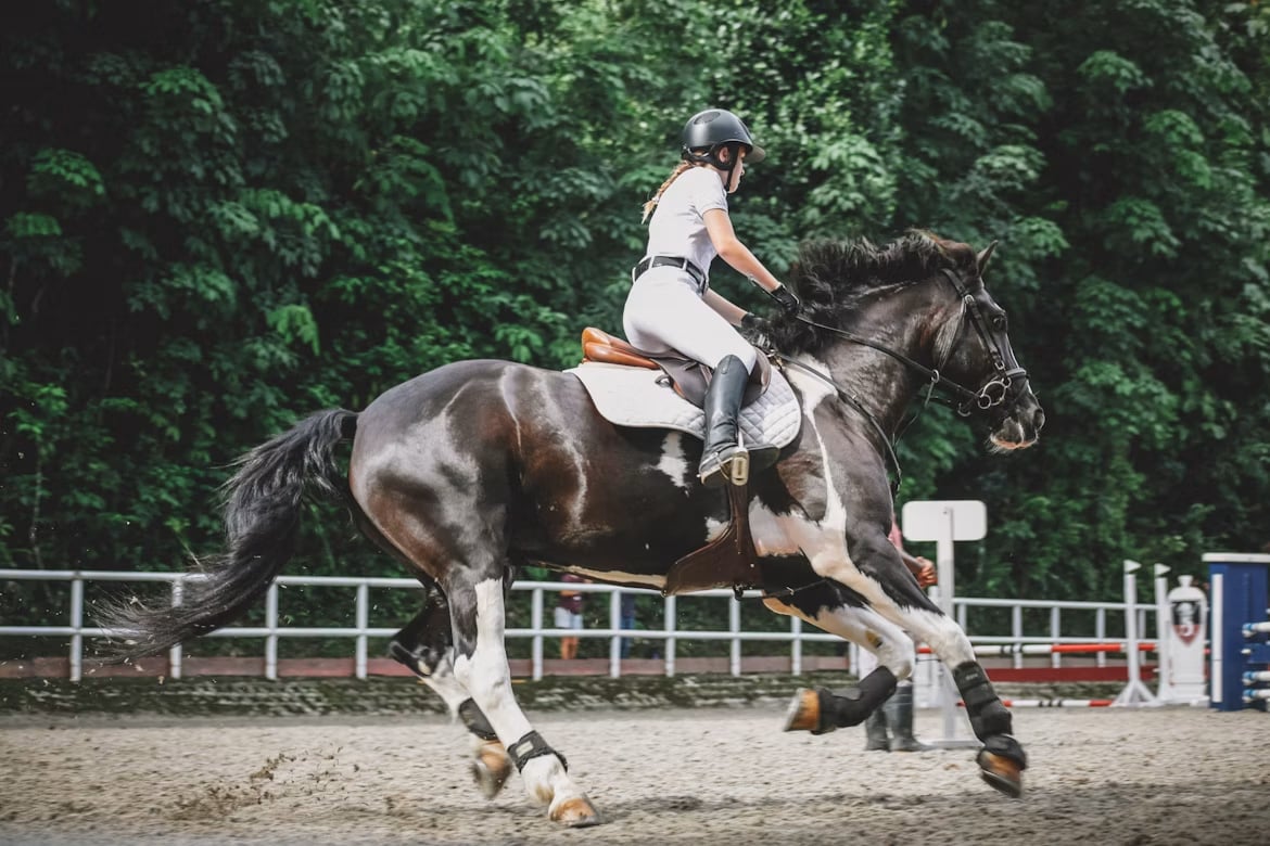 What It's Like to Spend a Summer in Traverse City During Horse Show Season