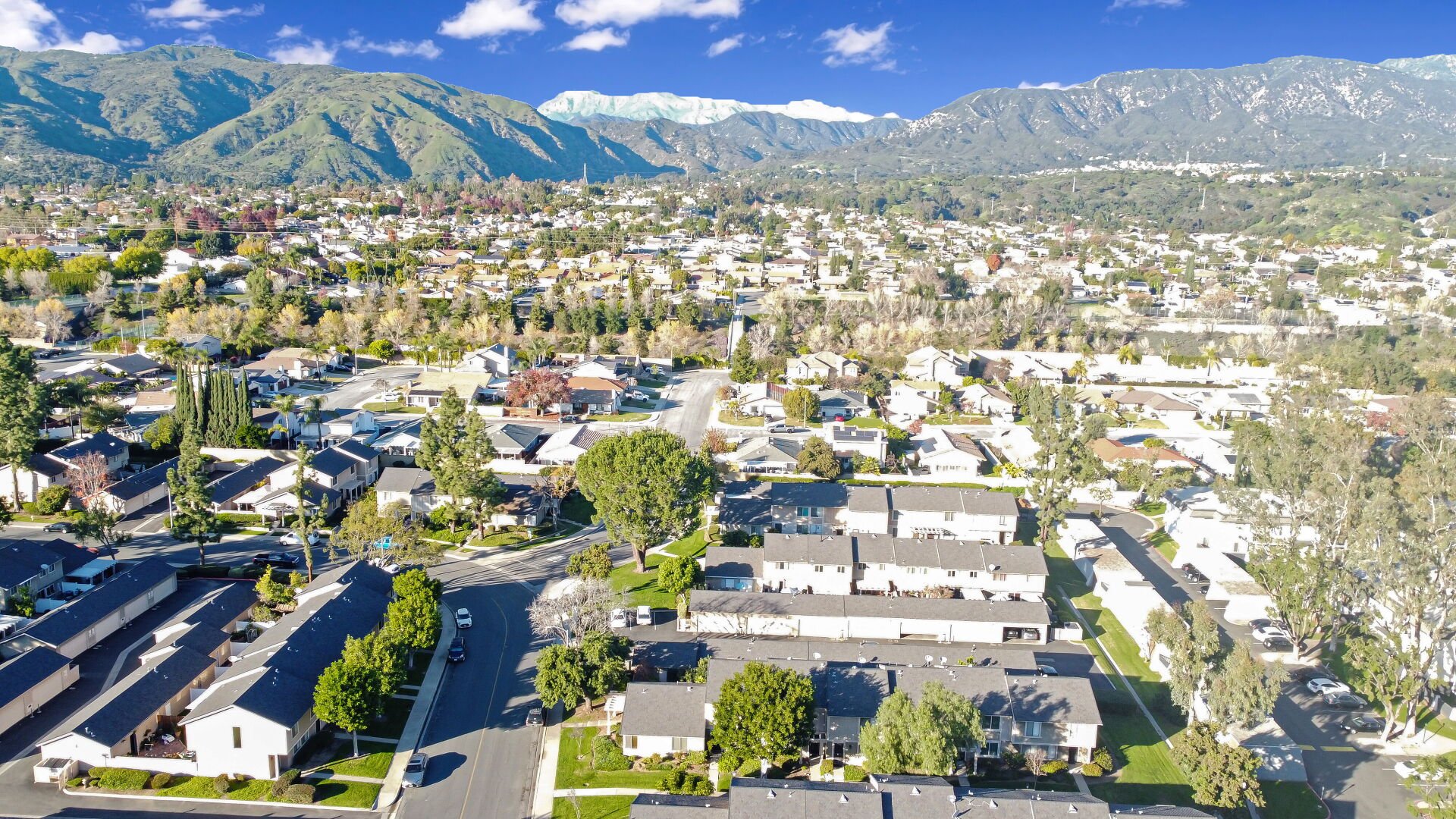 3888 Chelsea Drive