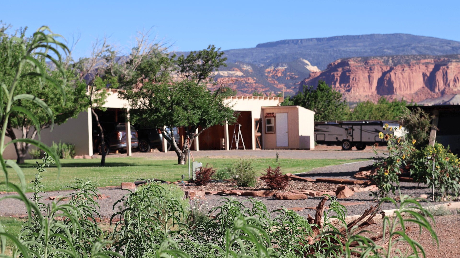 Torrey Land & Greenhouses