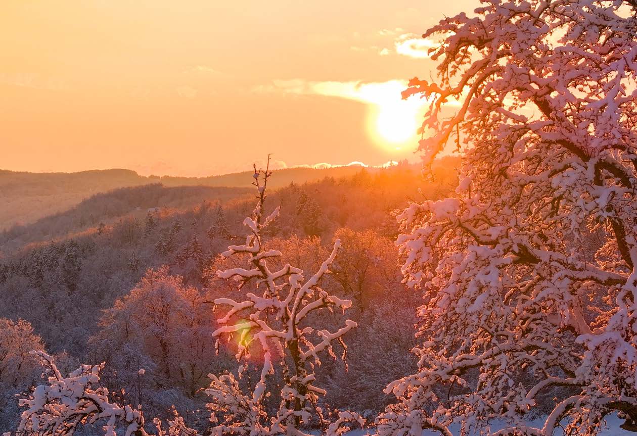 Hot to Not: The Condo Shift