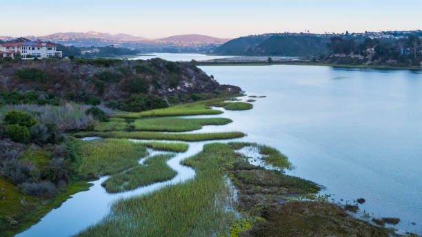 La Costa vs. Aviara — Which Carlsbad Community Is Right for You?