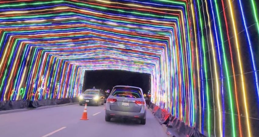 Top 15 Holiday Activities in and around Los Gatos (2025) - Parades, Lights, & Santa! 