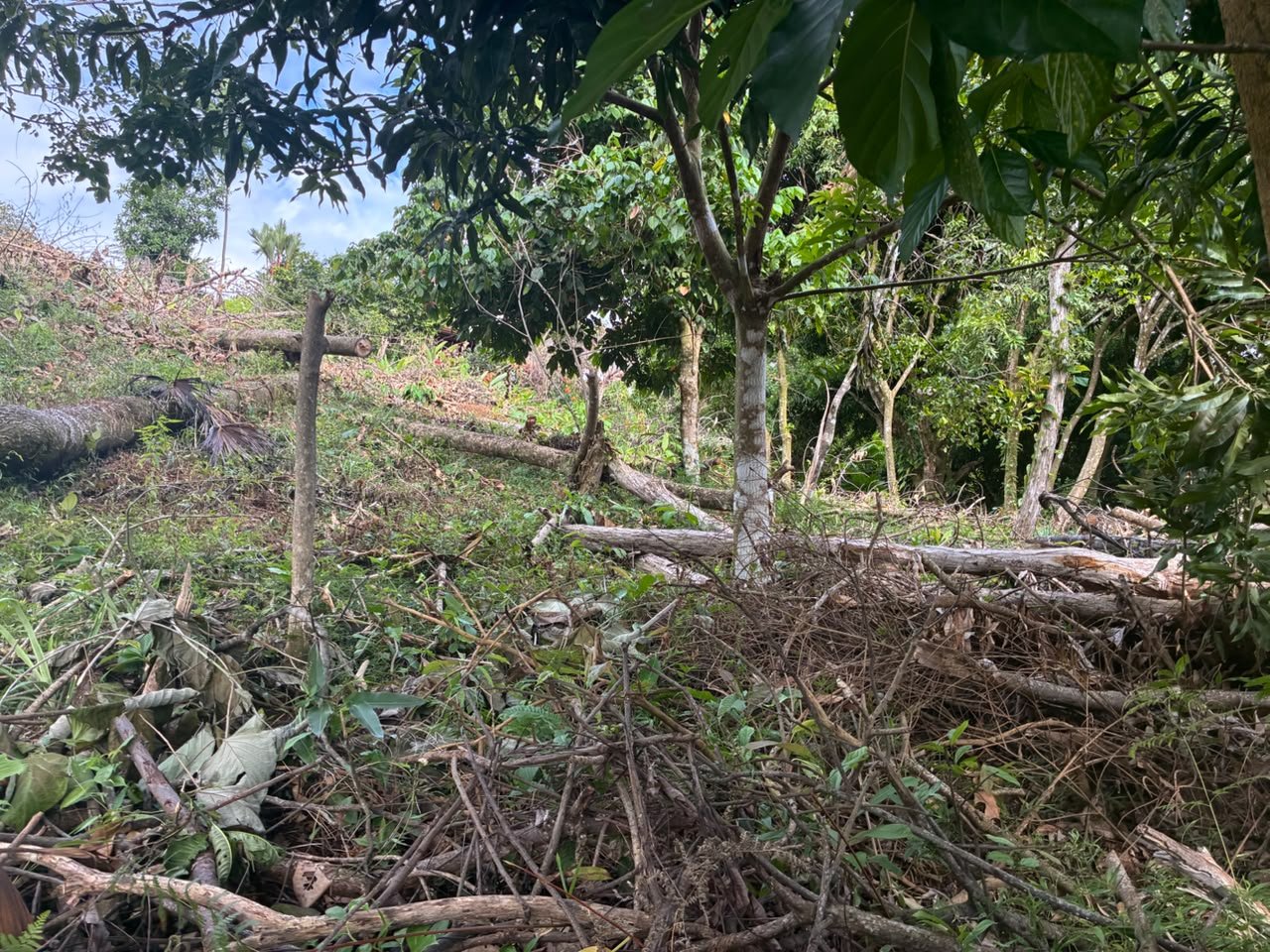 Spectacular Ocean View Lot in Ojochal Phase 9