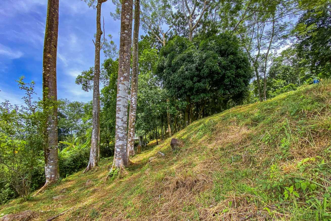Large Uvita Lot With Whale’s Tail Ocean Views, Sunsets & Legal Water – Ready to Build!