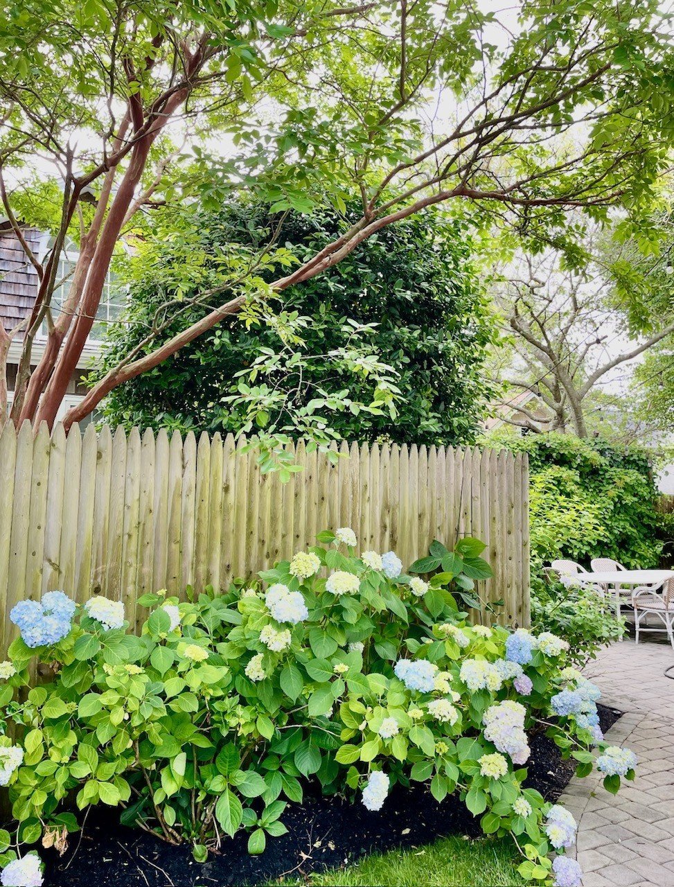 #344 Classic Bay Header