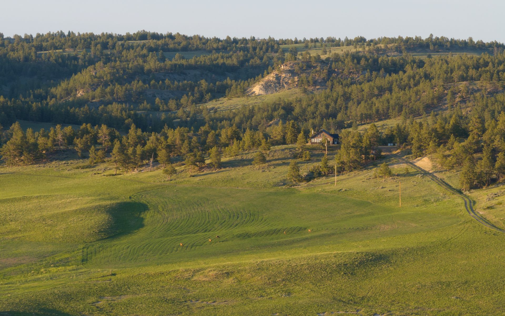 Elk Rich Ranch