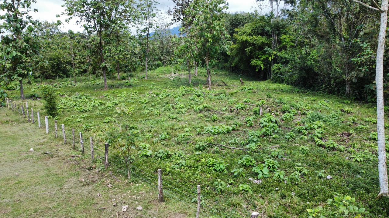 Off the grid property | Located in a privileged area, surrounded by natural beauty