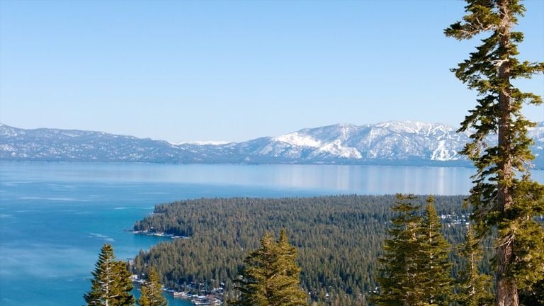 Lake Tahoe and a forested peninsula, with snow-covered mountains beyond and pine trees in the foreground.