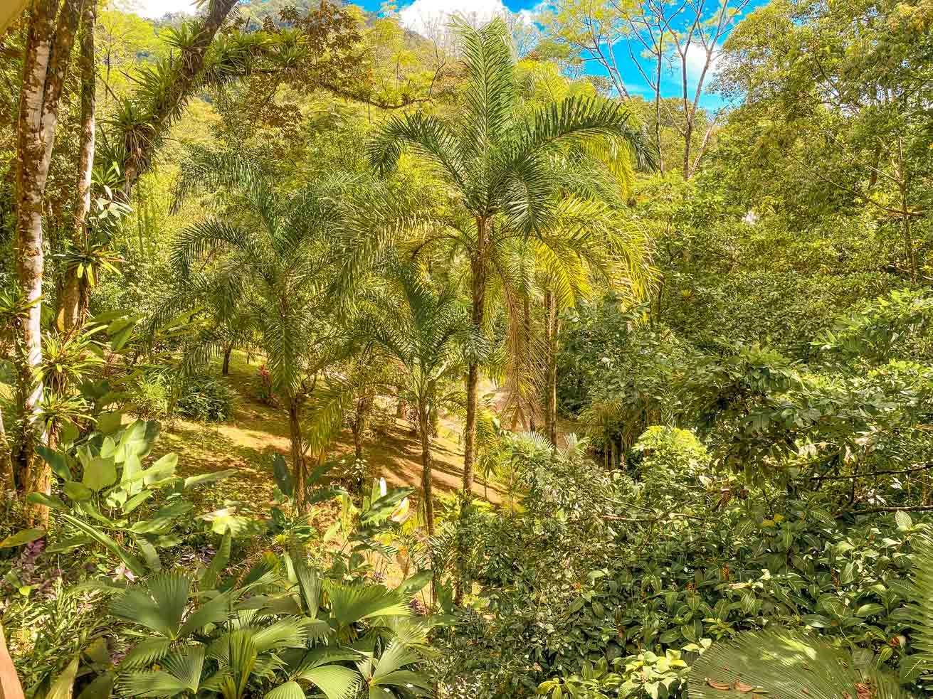 3 Bedroom Rainforest Home in Ojochal With River & Waterfall | 3.5 Acres Private