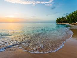 What is the Average Price of Luxury Homes in Barbados?