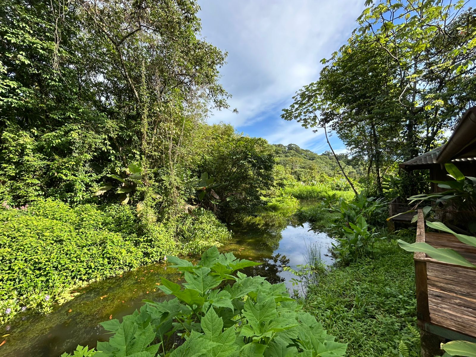 60 Acre Fully Sustainable and Impactful Conservation Initiative Near Golfito