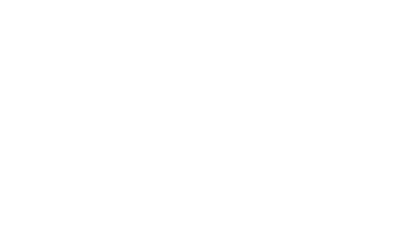 The Opulent Group